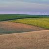 Proposed Revisions to the NPPF: impact on the land market