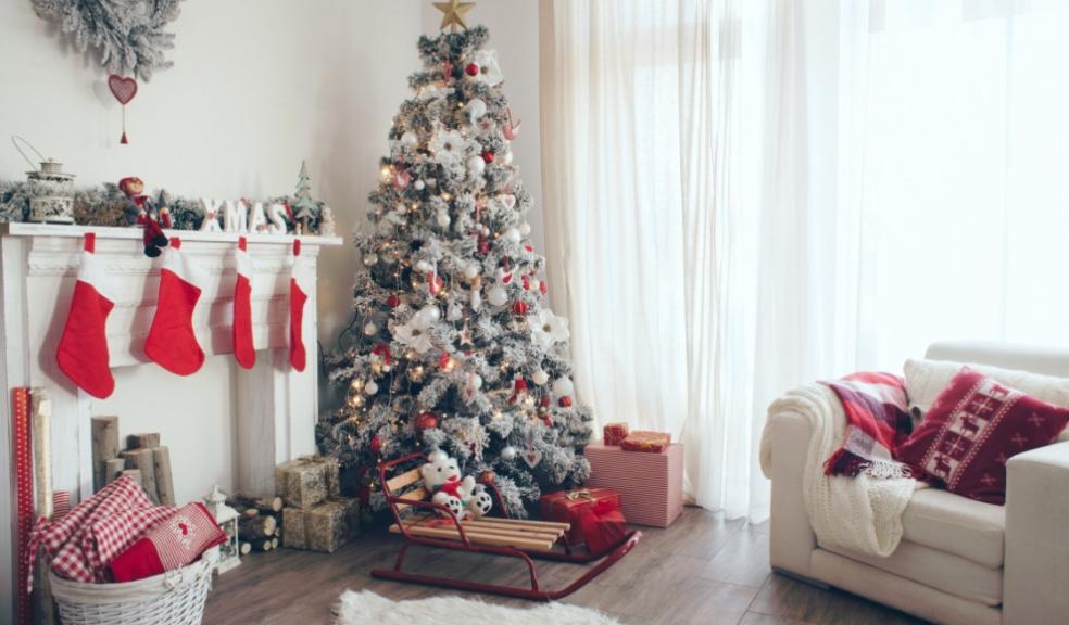 Experts warn of three common mistakes Brits make when looking after Christmas trees property