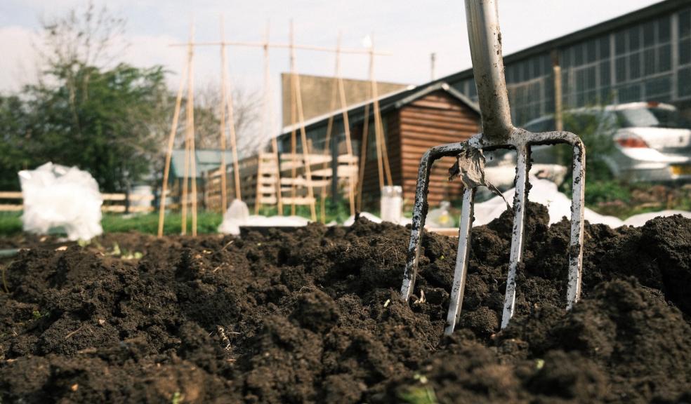 Gardening