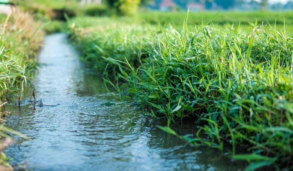 Gardens in drought how to avoid Gardens in drought how to avoid