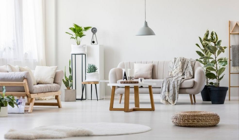 Stylish living room