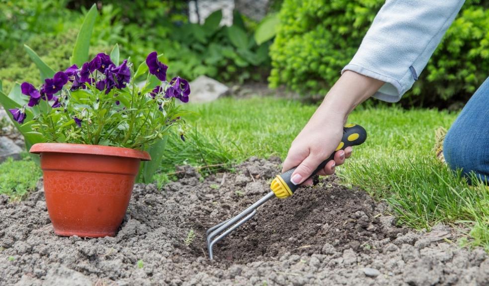 gardening dos and donts property