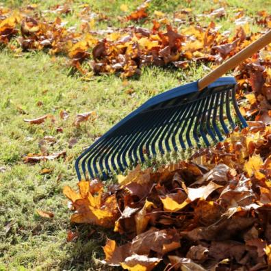 Advice: Top Tips to Get Your Garden Ready For Winter