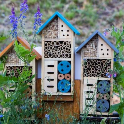 Bug houses 