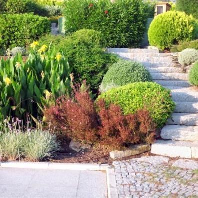 Landscaped Garden