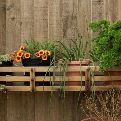 Pots in Garden 