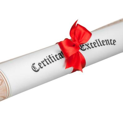 Seal of excellence award
